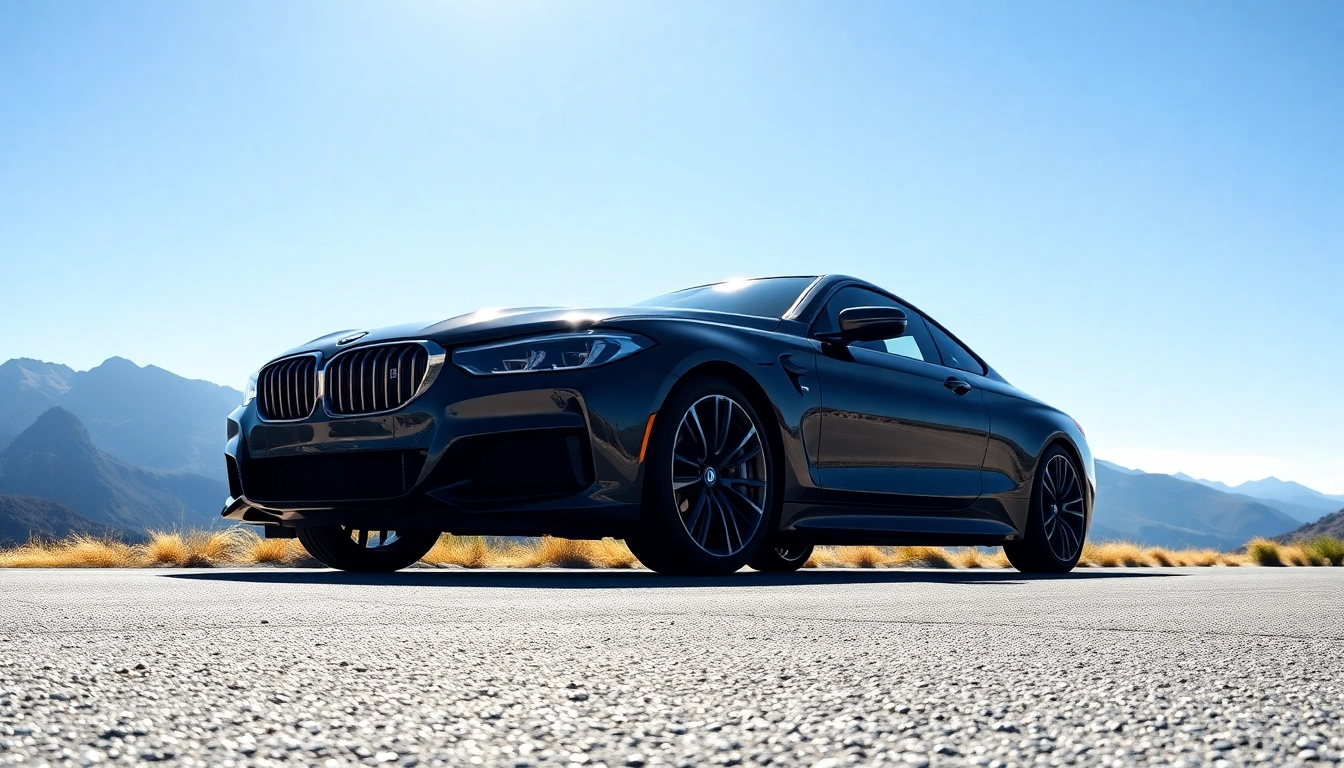 Luxury BMW car gleaming on a mountain road, showcasing luxury and style.